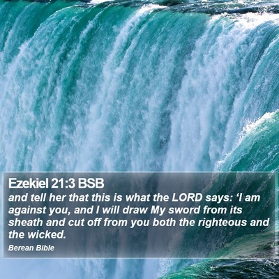 Ezekiel 21:3 BSB Bible Verse Image