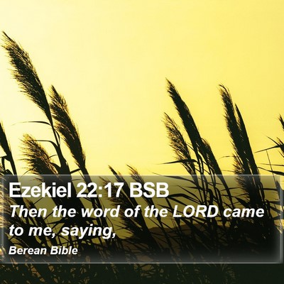 Ezekiel 22:17 BSB Bible Verse Image