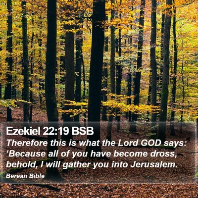 Ezekiel 22:19 BSB Bible Verse Image