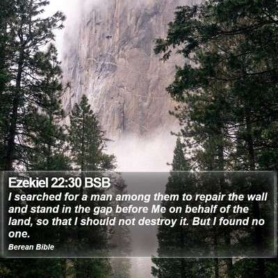 Ezekiel 22:30 BSB Bible Verse Image