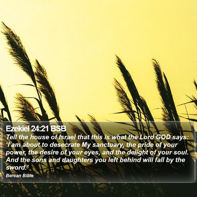 Ezekiel 24:21 BSB Bible Verse Image