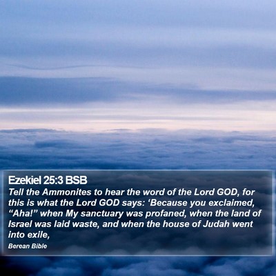 Ezekiel 25:3 BSB Bible Verse Image