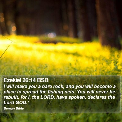 Ezekiel 26:14 BSB Bible Verse Image