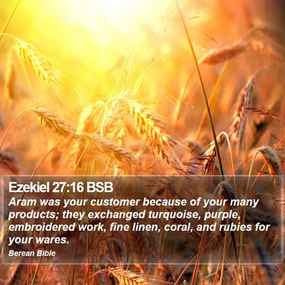 Ezekiel 27:16 BSB Bible Verse Image