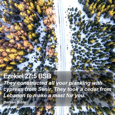 Ezekiel 27:5 BSB Bible Verse Image