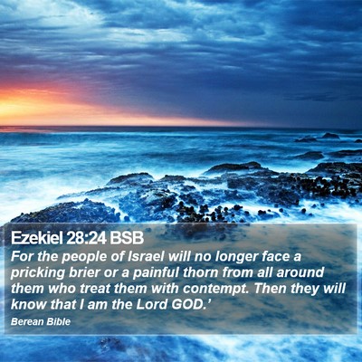Ezekiel 28:24 BSB Bible Verse Image