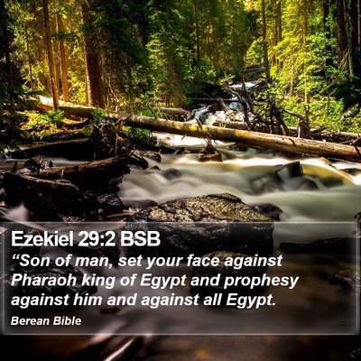 Ezekiel 29:2 BSB Bible Verse Image