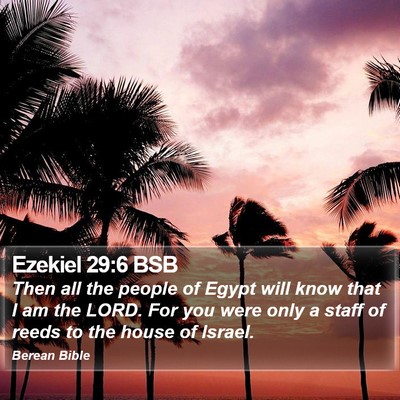Ezekiel 29:6 BSB Bible Verse Image