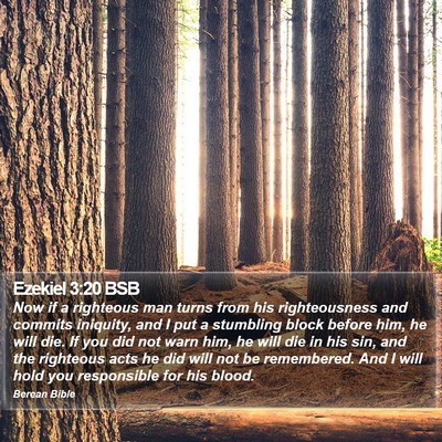 Ezekiel 3:20 BSB Bible Verse Image