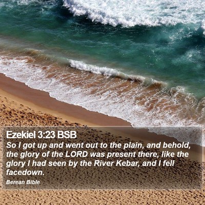 Ezekiel 3:23 BSB Bible Verse Image