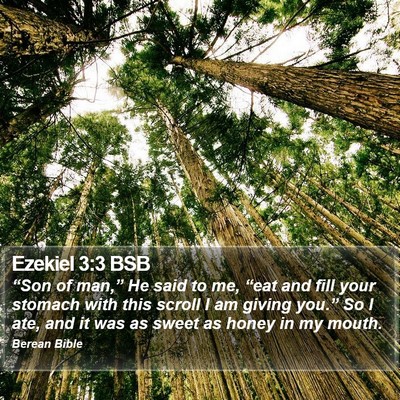 Ezekiel 3:3 BSB Bible Verse Image