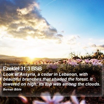 Ezekiel 31:3 BSB Bible Verse Image