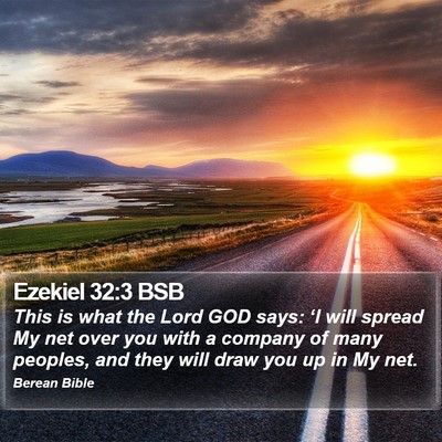 Ezekiel 32:3 BSB Bible Verse Image