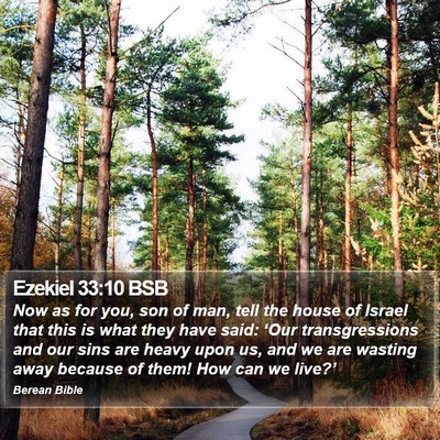 Ezekiel 33:10 BSB Bible Verse Image