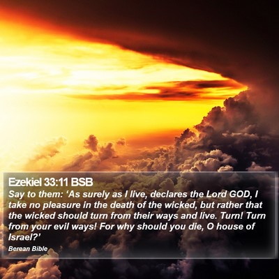 Ezekiel 33:11 BSB Bible Verse Image