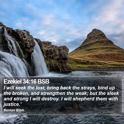 Ezekiel 34:16 BSB Bible Verse Image