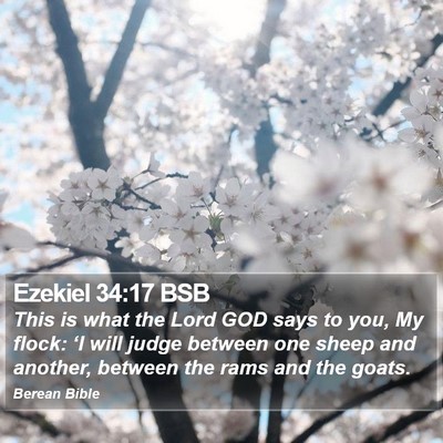 Ezekiel 34:17 BSB Bible Verse Image