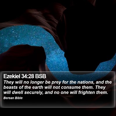 Ezekiel 34:28 BSB Bible Verse Image
