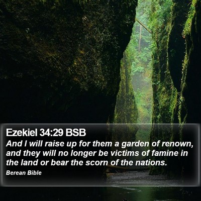 Ezekiel 34:29 BSB Bible Verse Image