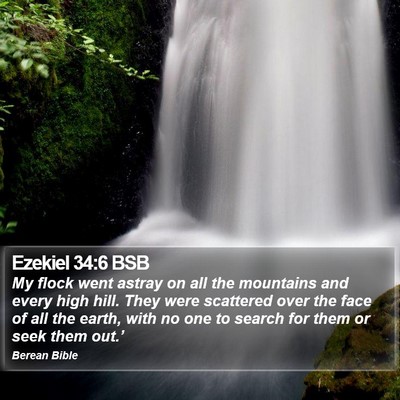 Ezekiel 34:6 BSB Bible Verse Image