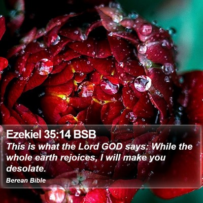Ezekiel 35:14 BSB Bible Verse Image