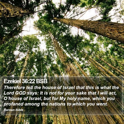 Ezekiel 36:22 BSB Bible Verse Image