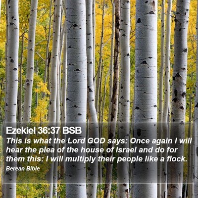 Ezekiel 36:37 BSB Bible Verse Image