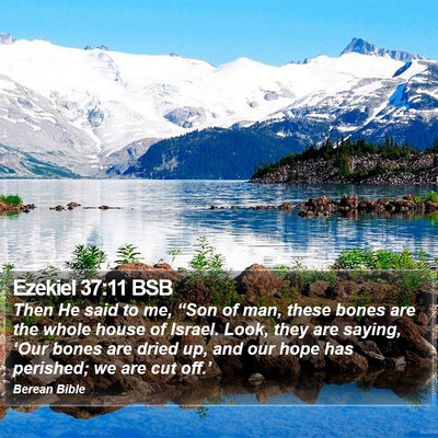 Ezekiel 37:11 BSB Bible Verse Image