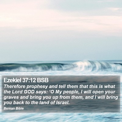 Ezekiel 37:12 BSB Bible Verse Image