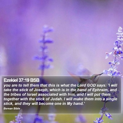Ezekiel 37:19 BSB Bible Verse Image
