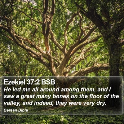 Ezekiel 37:2 BSB Bible Verse Image