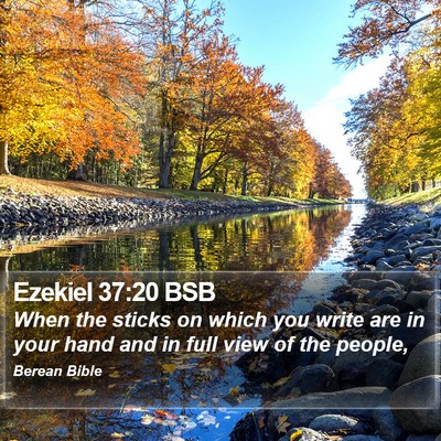 Ezekiel 37:20 BSB Bible Verse Image