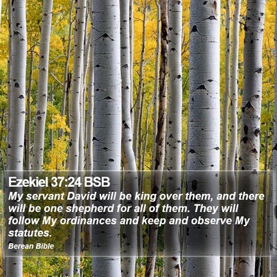 Ezekiel 37:24 BSB Bible Verse Image