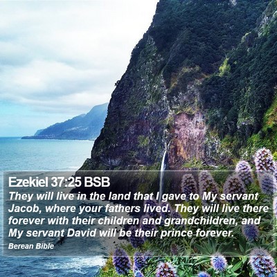 Ezekiel 37:25 BSB Bible Verse Image