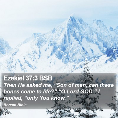 Ezekiel 37:3 BSB Bible Verse Image