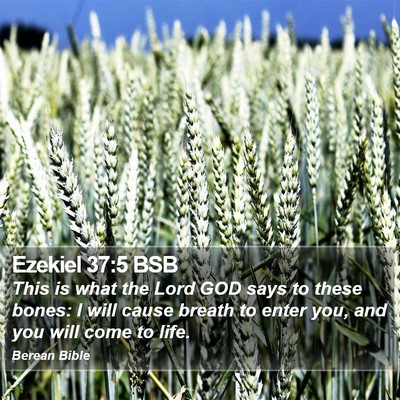 Ezekiel 37:5 BSB Bible Verse Image