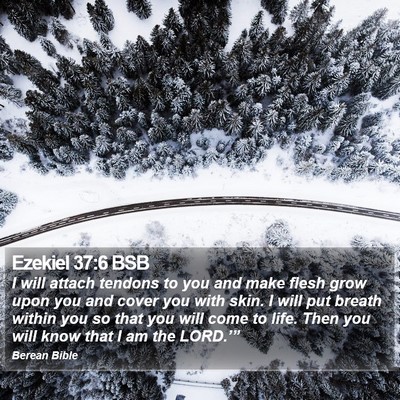 Ezekiel 37:6 BSB Bible Verse Image
