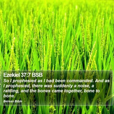 Ezekiel 37:7 BSB Bible Verse Image