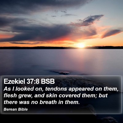 Ezekiel 37:8 BSB Bible Verse Image