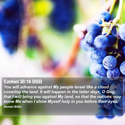 Ezekiel 38:16 BSB Bible Verse Image