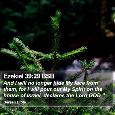 Ezekiel 39:29 BSB Bible Verse Image