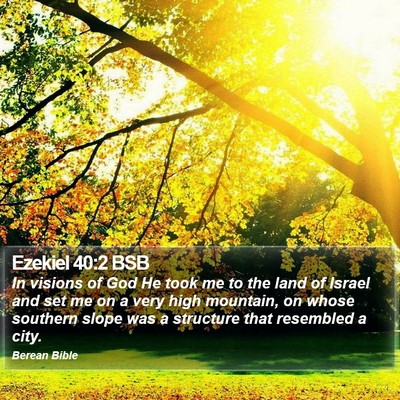 Ezekiel 40:2 BSB Bible Verse Image