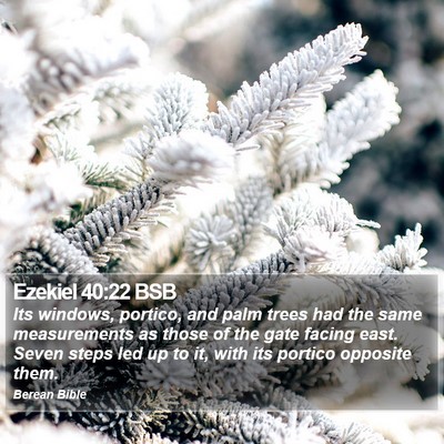 Ezekiel 40:22 BSB Bible Verse Image