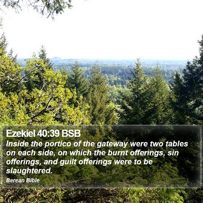 Ezekiel 40:39 BSB Bible Verse Image