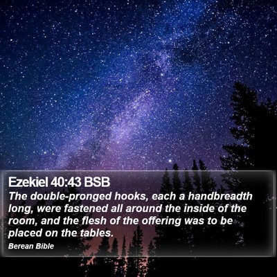 Ezekiel 40:43 BSB Bible Verse Image