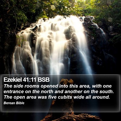 Ezekiel 41:11 BSB Bible Verse Image