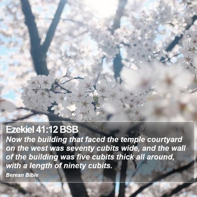 Ezekiel 41:12 BSB Bible Verse Image