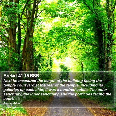 Ezekiel 41:15 BSB Bible Verse Image