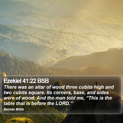 Ezekiel 41:22 BSB Bible Verse Image