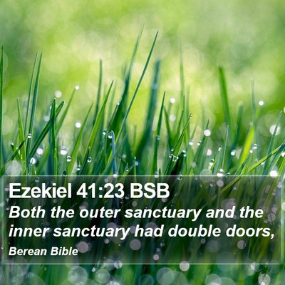 Ezekiel 41:23 BSB Bible Verse Image